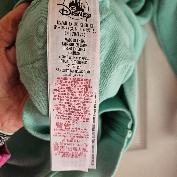Disneyland Resort “Classic Mickey” Mint green Zip-up Hoodie.  Like new condition - Picture 4 of 7